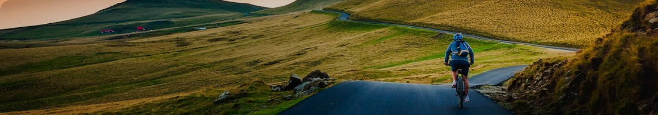 cat-banner